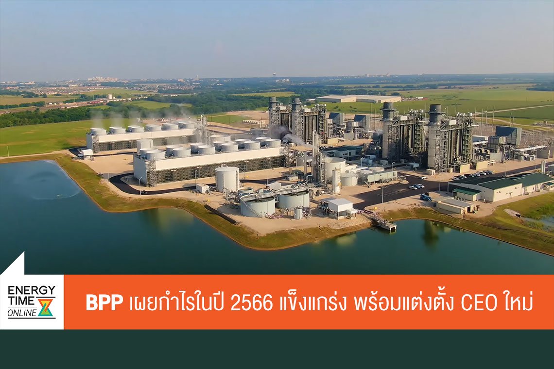 บ้านปู เพาเวอร์ จำกัด (มหาชน)