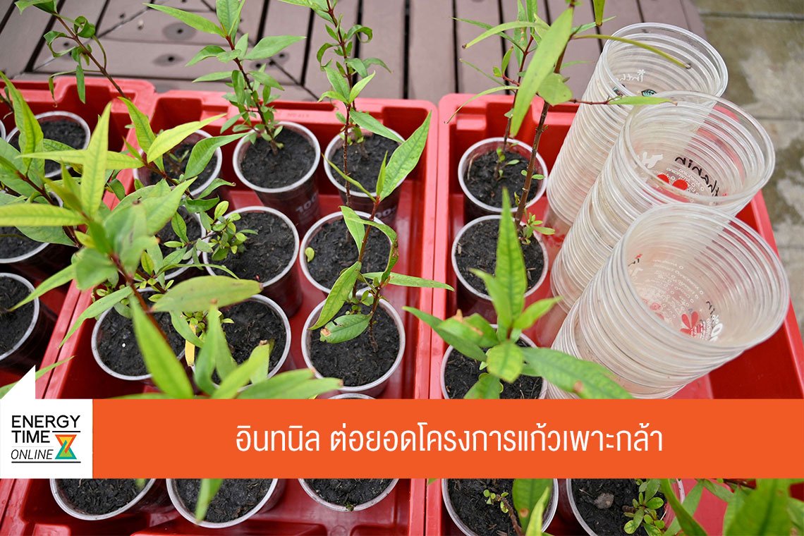 บางจาก คอร์ปอเรชั่น จำกัด (มหาชน)