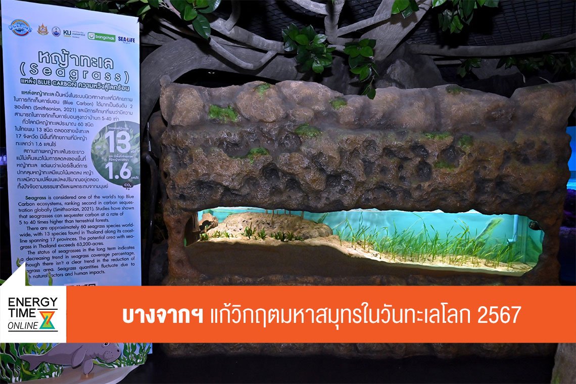 บางจาก คอร์ปอเรชั่น จำกัด (มหาชน)