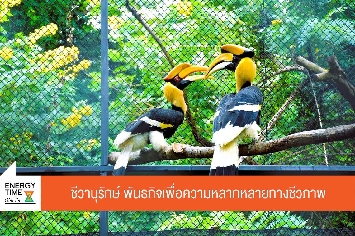 บางจาก ศรีราชา จำกัด (มหาชน)