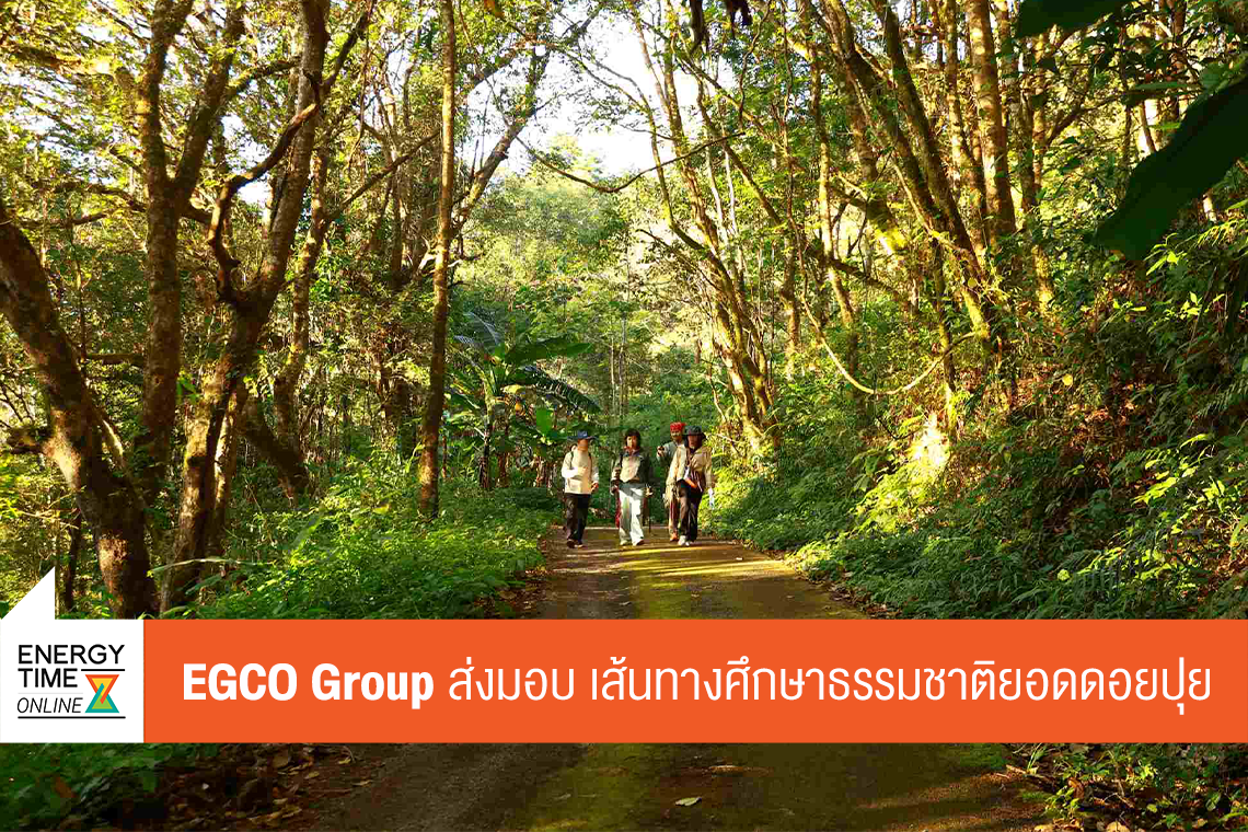 บริษัท ผลิตไฟฟ้า จำกัด (มหาชน)