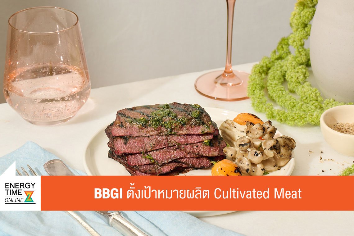 บีบีจีไอ จำกัด (มหาชน)