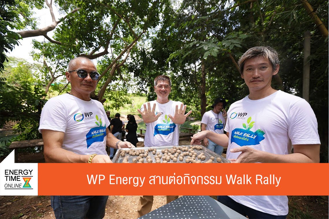 ดับบลิวพี เอ็นเนอร์ยี่ จำกัด (มหาชน)