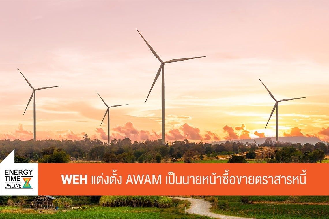 วินด์ เอนเนอร์ยี่ โฮลดิ้ง จำกัด