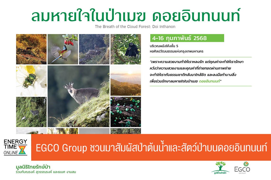 ผลิตไฟฟ้า จำกัด (มหาชน)