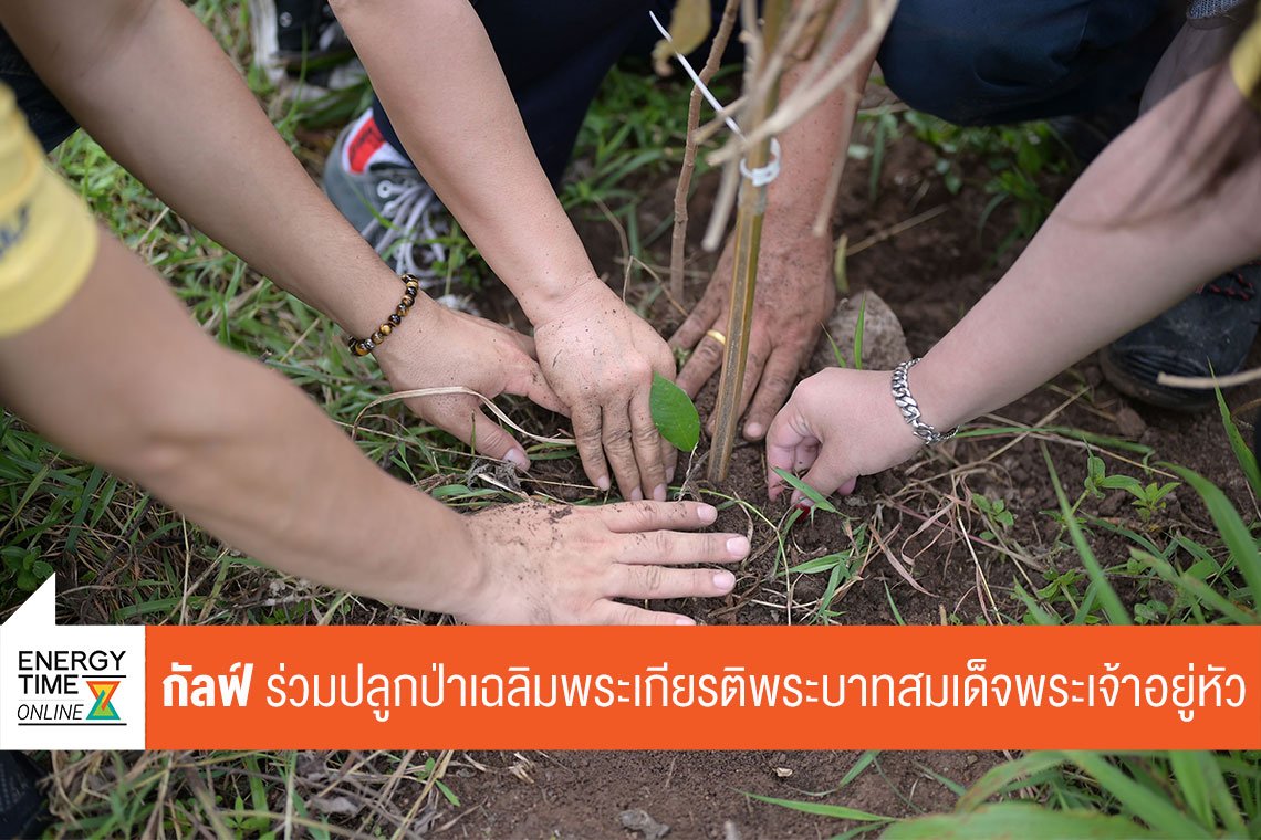 กัลฟ์ เอ็นเนอร์จี ดีเวลลอปเมนท์ จำกัด (มหาชน)