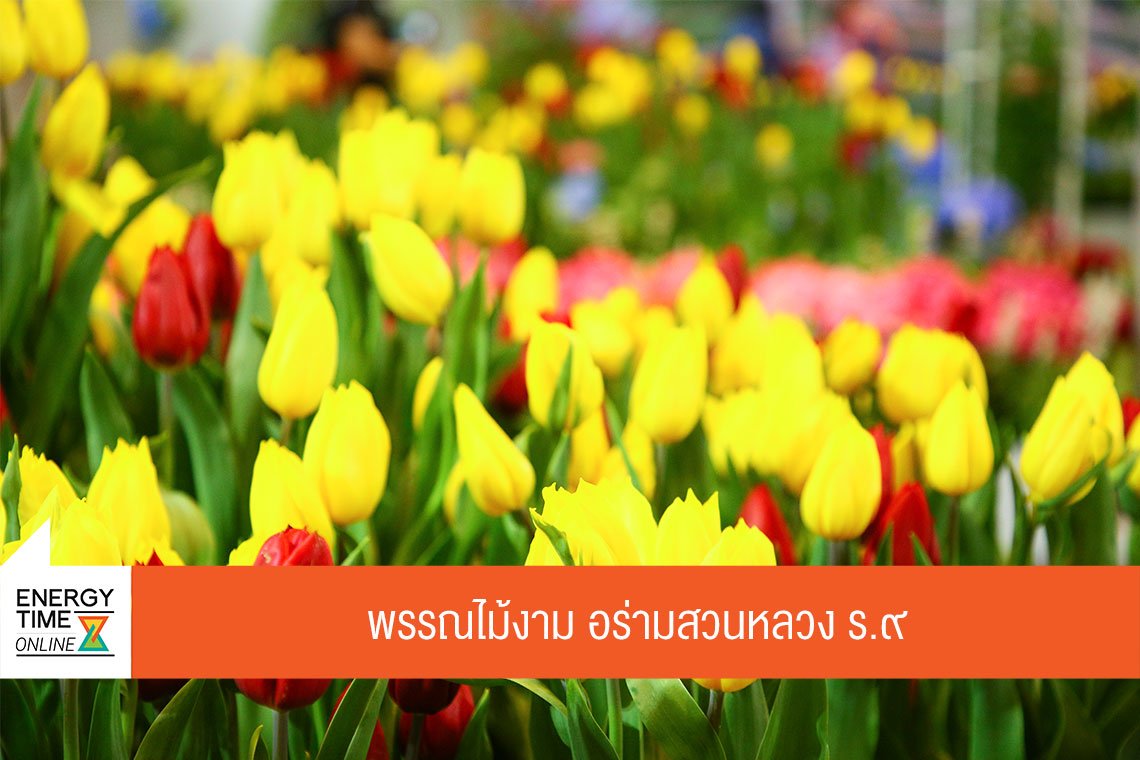 การไฟฟ้าฝ่ายผลิตแห่งประเทศไทย