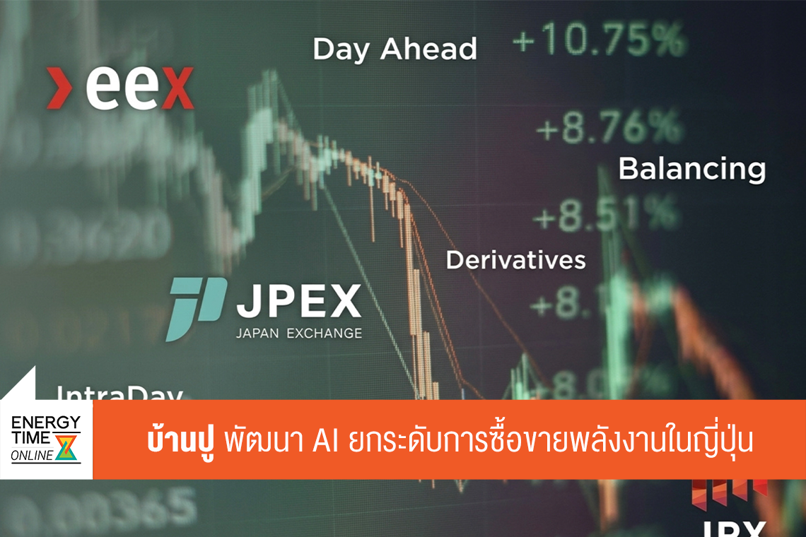 บริษัท บ้านปู จำกัด (มหาชน)