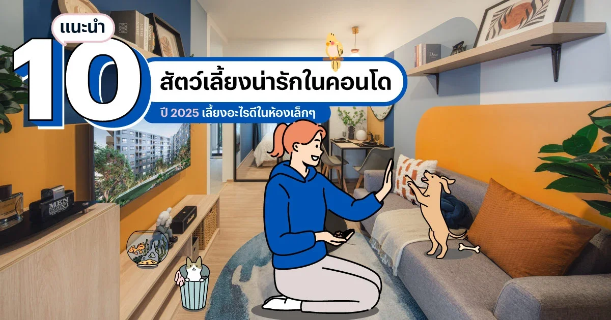 10 สัตว์เลี้ยงน่ารักในคอนโด เลี้ยงอะไรดีในห้องเล็ก ๆ