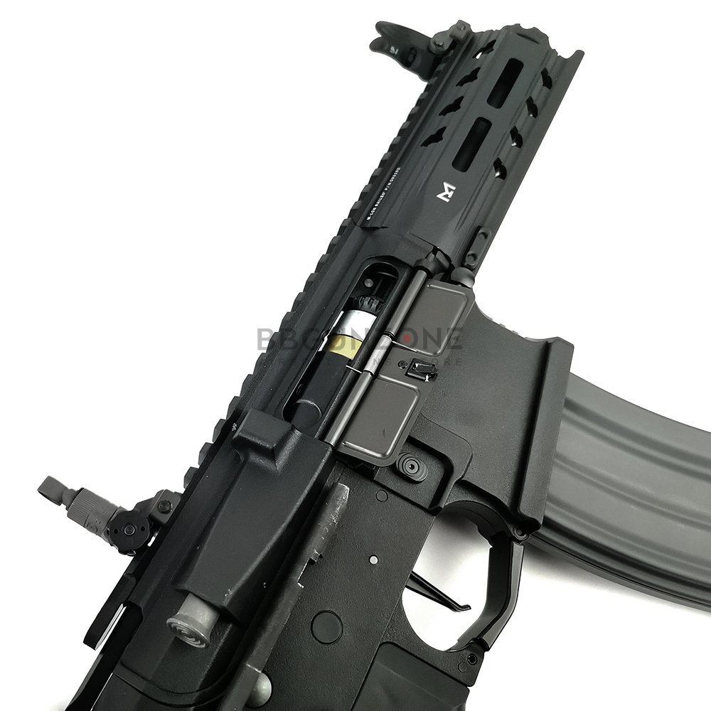 G&G ARP - 556 2024