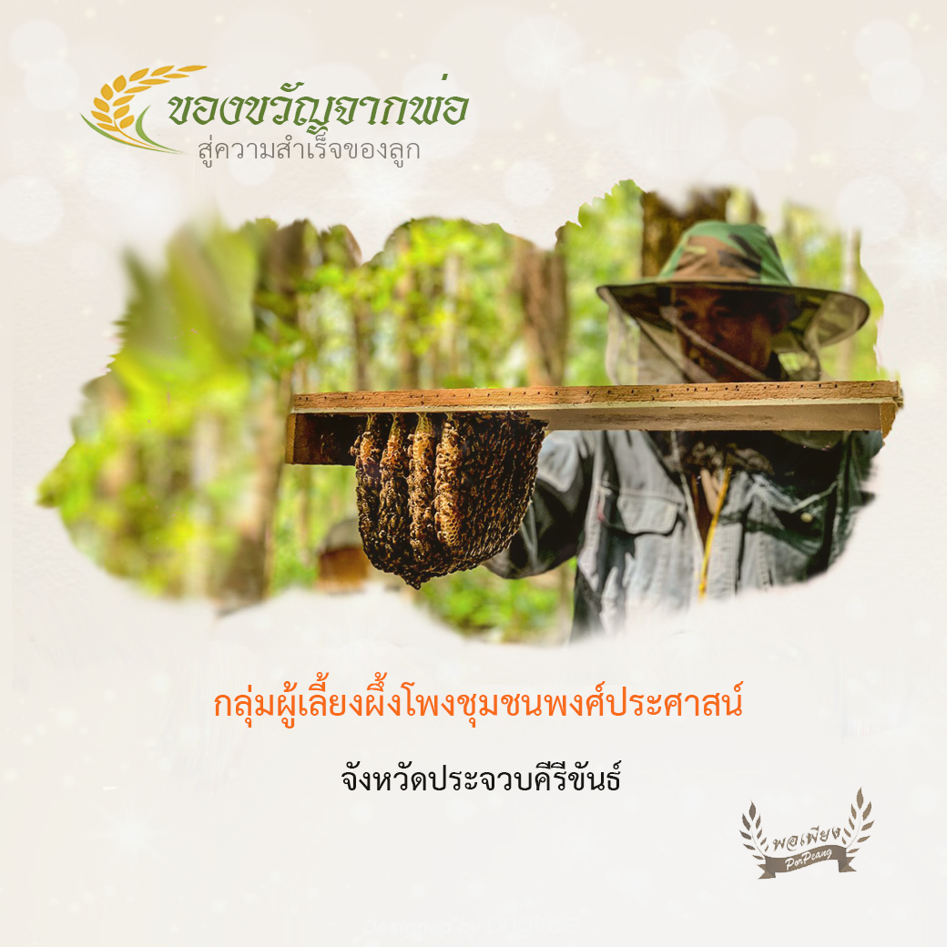 กลุ่มผู้เลี้ยงผึ้งโพง ชุมชนพงศ์ประศาสน์ จ.ประจวบคีรีขันธ์ กลุ่มผู้เลี้ยงผึ้งโพง ชุมชนพงศ์ประศาสน์ จ.ประจวบคีรีขันธ์