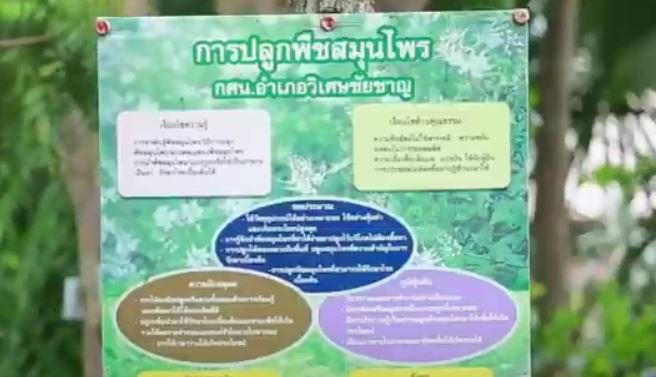 กลุ่มสมุนไพรตามหลักปรัชญาเศรษฐกิจพอเพียง จ.อ่างทอง กลุ่มสมุนไพรตามหลักปรัชญาเศรษฐกิจพอเพียง จ.อ่างทอง