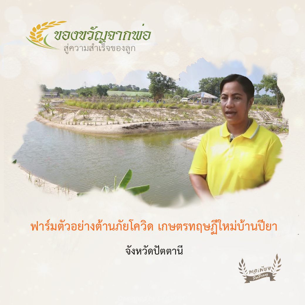 ฟาร์มตัวอย่างต้านภัยโควิด เกษตรทฤษฏีใหม่บ้านปียา จ.ปัตตานี