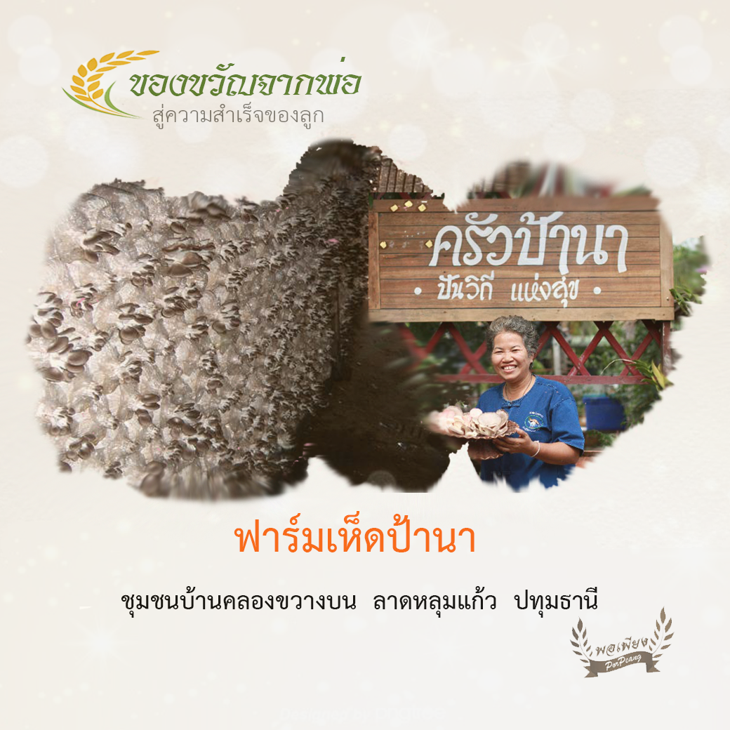 ฟาร์มเห็ดป้านา อ.ลาดหลุมแก้ว จ.ปทุมธานี ฟาร์มเห็ดป้านา อ.ลาดหลุมแก้ว จ.ปทุมธานี