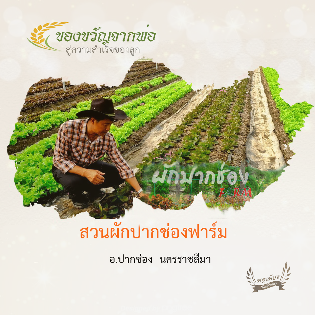สวนผักปากช่อง สวนผักปากช่อง