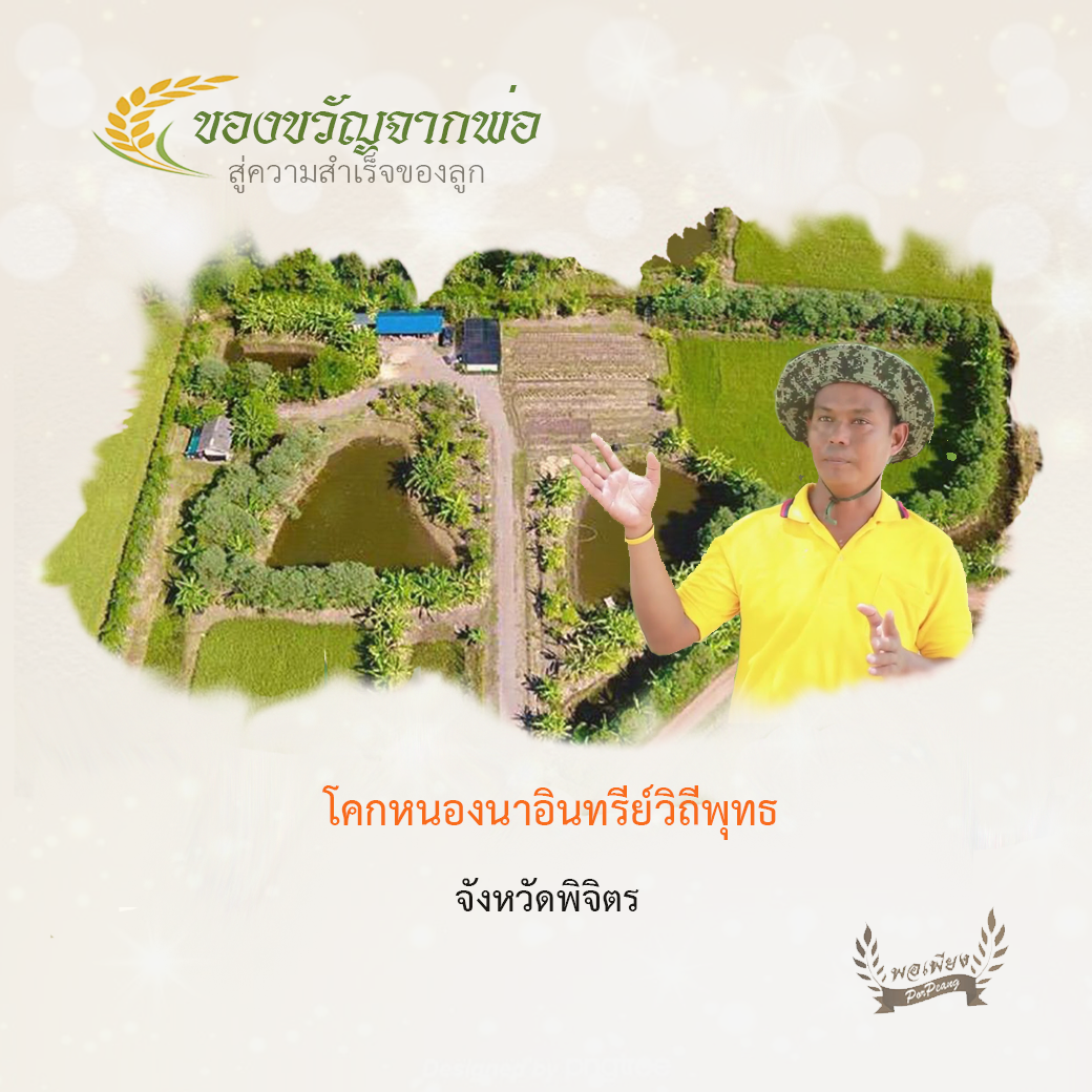 โคกหนองนาอินทรีย์วิถีพุทธ โคกหนองนาอินทรีย์วิถีพุทธ