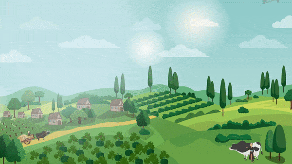 แอนิเมชั่นโครงการพระราชดำริ "ศูนย์พัฒนาโครงการหลวงม่อนเงาะ จังหวัดเชียงใหม่" แอนิเมชั่นโครงการพระราชดำริ "ศูนย์พัฒนาโครงการหลวงม่อนเงาะ จังหวัดเชียงใหม่"