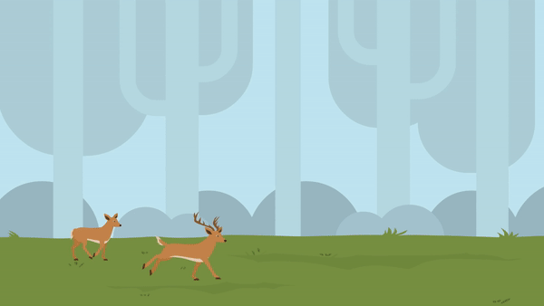 อนิเมชั่นโครงการพระราชดำริ "โครงการศูนย์ศึกษาการพัฒนาห้วยทราย อันเนื่องมากจากพระราชดำริ" อนิเมชั่นโครงการพระราชดำริ "โครงการศูนย์ศึกษาการพัฒนาห้วยทราย อันเนื่องมากจากพระราชดำริ"