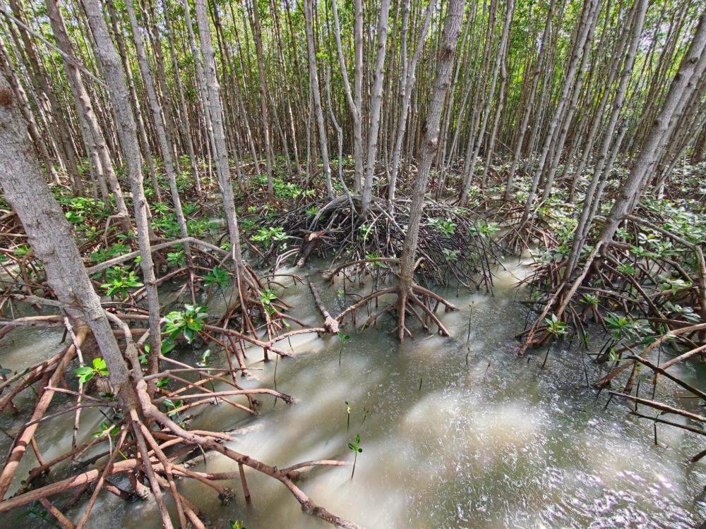 มูลนิธิแม่ฟ้าหลวงฯ เปิดเวที MFLF Sustainability Forum 2026 ดัน Nature Positive จากแนวคิดสู่การปฏิบัติ ชู ทุนธรรมชาติ เป็นรากฐานเศรษฐกิจใหม่ เชื่อมโยงรัฐ-ธุรกิจ-การเงิน-ชุมชน เติบโตไปด้วยกัน
