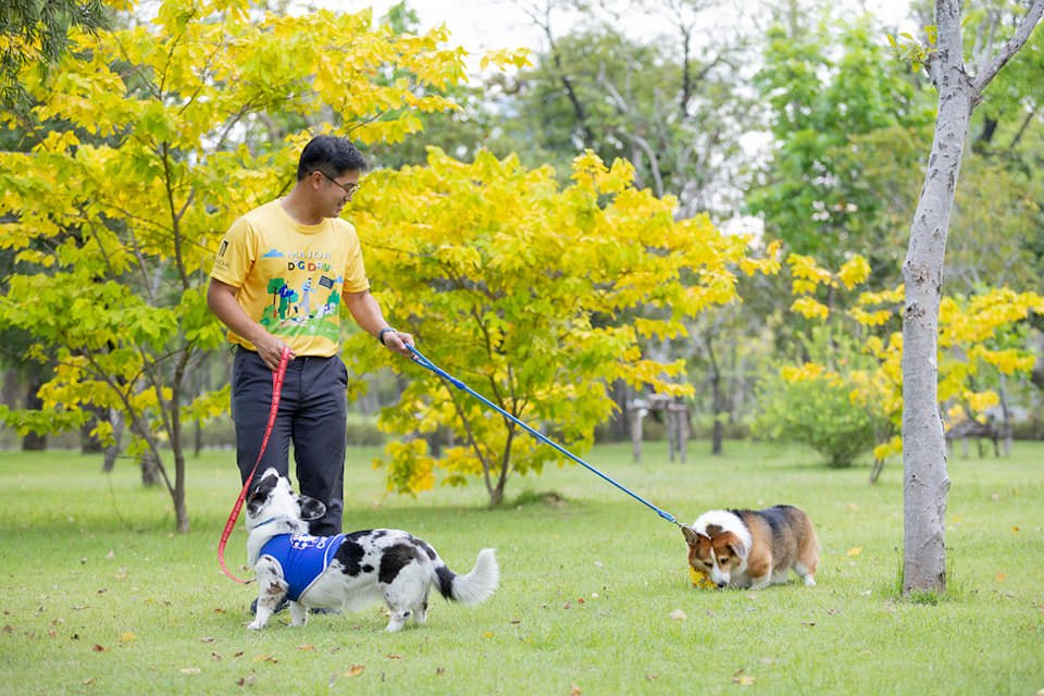 "เมเจอร์ ดีเวลลอปเม้นท์" ผนึก "กทม." ต่อยอด MAJOR PETSCAPE นำร่องสวนป่าเบญจกิติ "เมเจอร์ ดีเวลลอปเม้นท์" ผนึก "กทม." ต่อยอด MAJOR PETSCAPE นำร่องสวนป่าเบญจกิติ