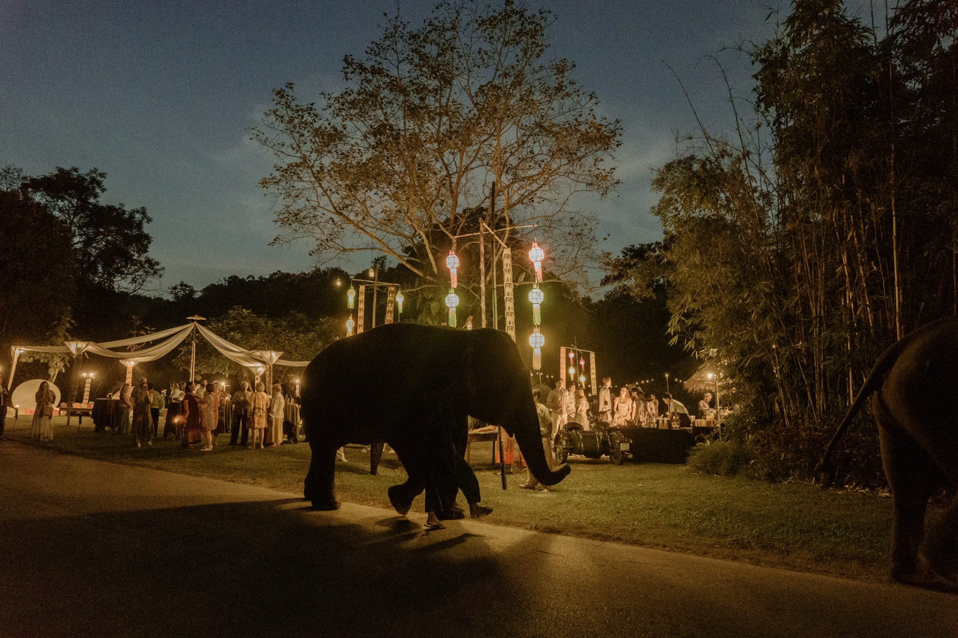 "อนันตรา สามเหลี่ยมทองคำ" เปิดตัว "ต้นคริสต์มาสสไตล์ล้านนา" ยกระดับงานหัตถกรรมท้องถิ่นพื้นบ้านภาคเหนือ "อนันตรา สามเหลี่ยมทองคำ" เปิดตัว "ต้นคริสต์มาสสไตล์ล้านนา" ยกระดับงานหัตถกรรมท้องถิ่นพื้นบ้านภาคเหนือ