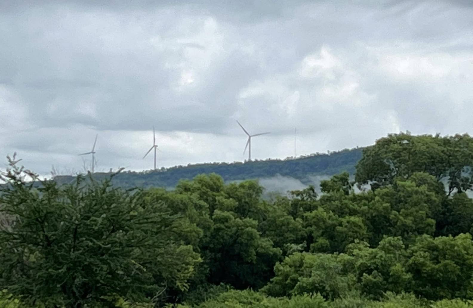 สัมผัสกลิ่นอายธรรมชาติ บรรยากาศแหล่งท่องเที่ยวเชิงอนุรักษ์ @ สถานีวิจัยลำตะคอง   สัมผัสกลิ่นอายธรรมชาติ บรรยากาศแหล่งท่องเที่ยวเชิงอนุรักษ์ @ สถานีวิจัยลำตะคอง