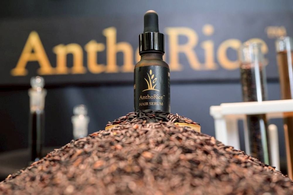 หมดปัญหาเรื่องผม... จุฬาฯ -มหิดล เปิดตัว  AnthoRice Complex นวัตกรรมเซรั่มบำรุงรากผมจากสารสกัดข้าวไรซ์เบอร์รี่อินทรีย์ของไทย
