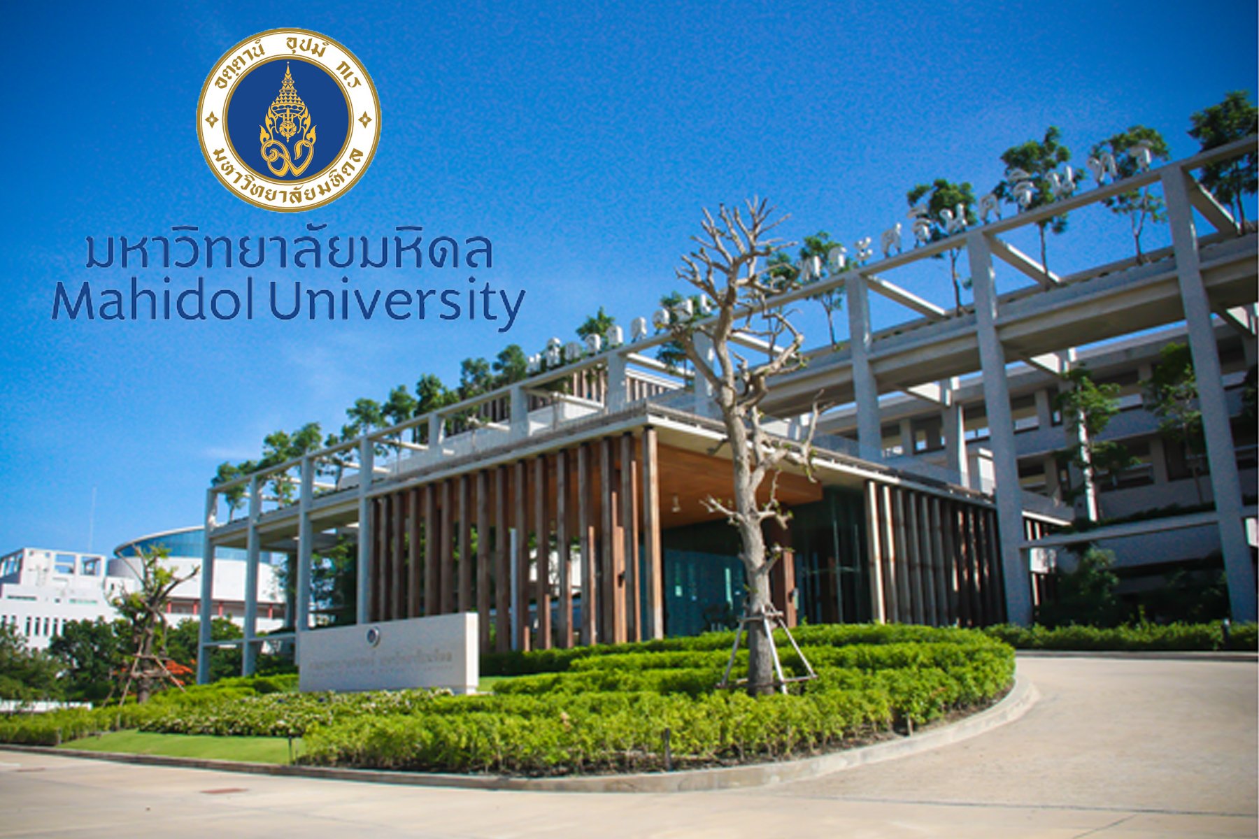 ครั้งแรกในไทย "ม.มหิดล" เปิดหลักสูตร 2 ปริญญา ผลิต ป.เอก "พยาบาลนวัตกร" ครั้งแรกในไทย "ม.มหิดล" เปิดหลักสูตร 2 ปริญญา ผลิต ป.เอก "พยาบาลนวัตกร"