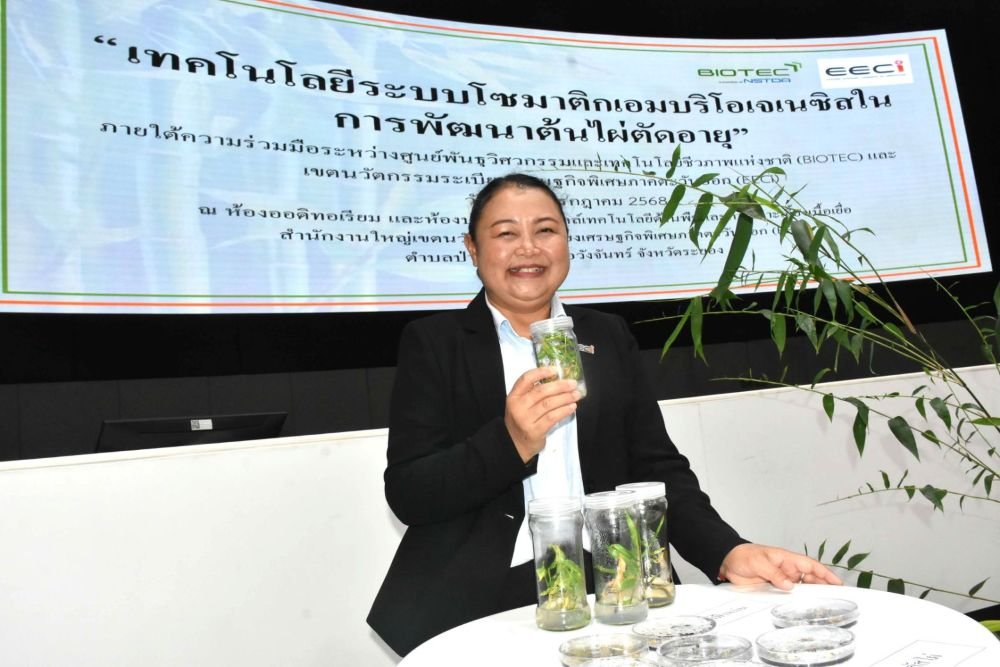 ไผ่ตัดอายุ นวัตกรรมใหม่ เปลี่ยนโฉมอุตสาหกรรมไผ่ไทย สู่อนาคตเศรษฐกิจชีวภาพ