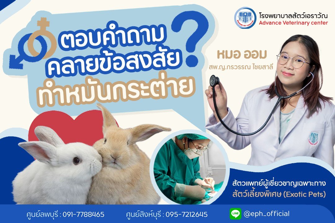 โรงพยาบาลสัตว์เอราวัณ (Erawan Pet Hospital) โรงพยาบาลสัตว์เอราวัณ (Erawan Pet Hospital)