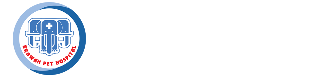 โรงพยาบาลสัตว์เอราวัณ (Erawan Pet Hospital)