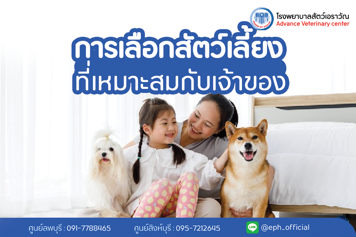 โรงพยาบาลสัตว์เอราวัณ (Erawan Pet Hospital)