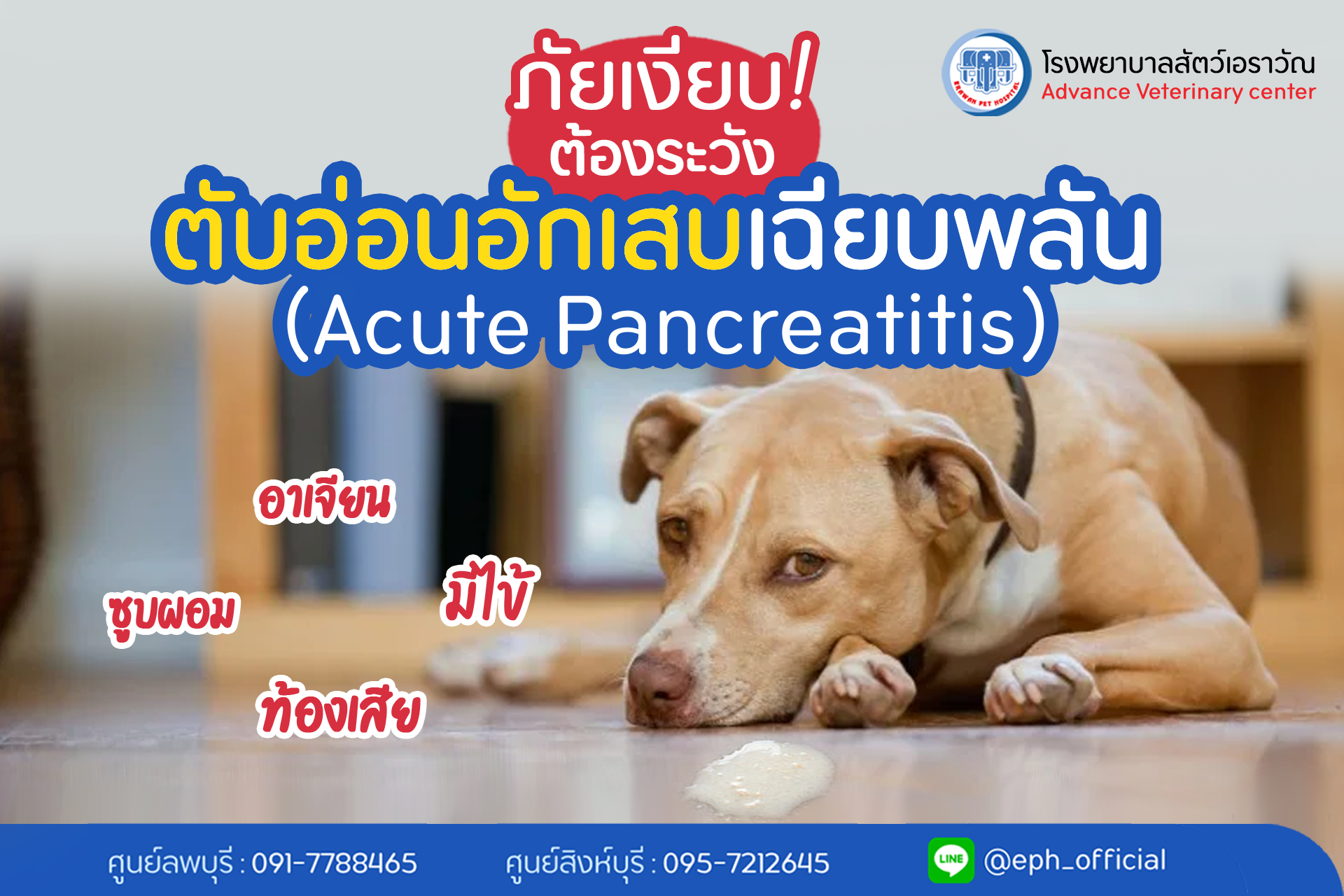 โรงพยาบาลสัตว์เอราวัณ (Erawan Pet Hospital)