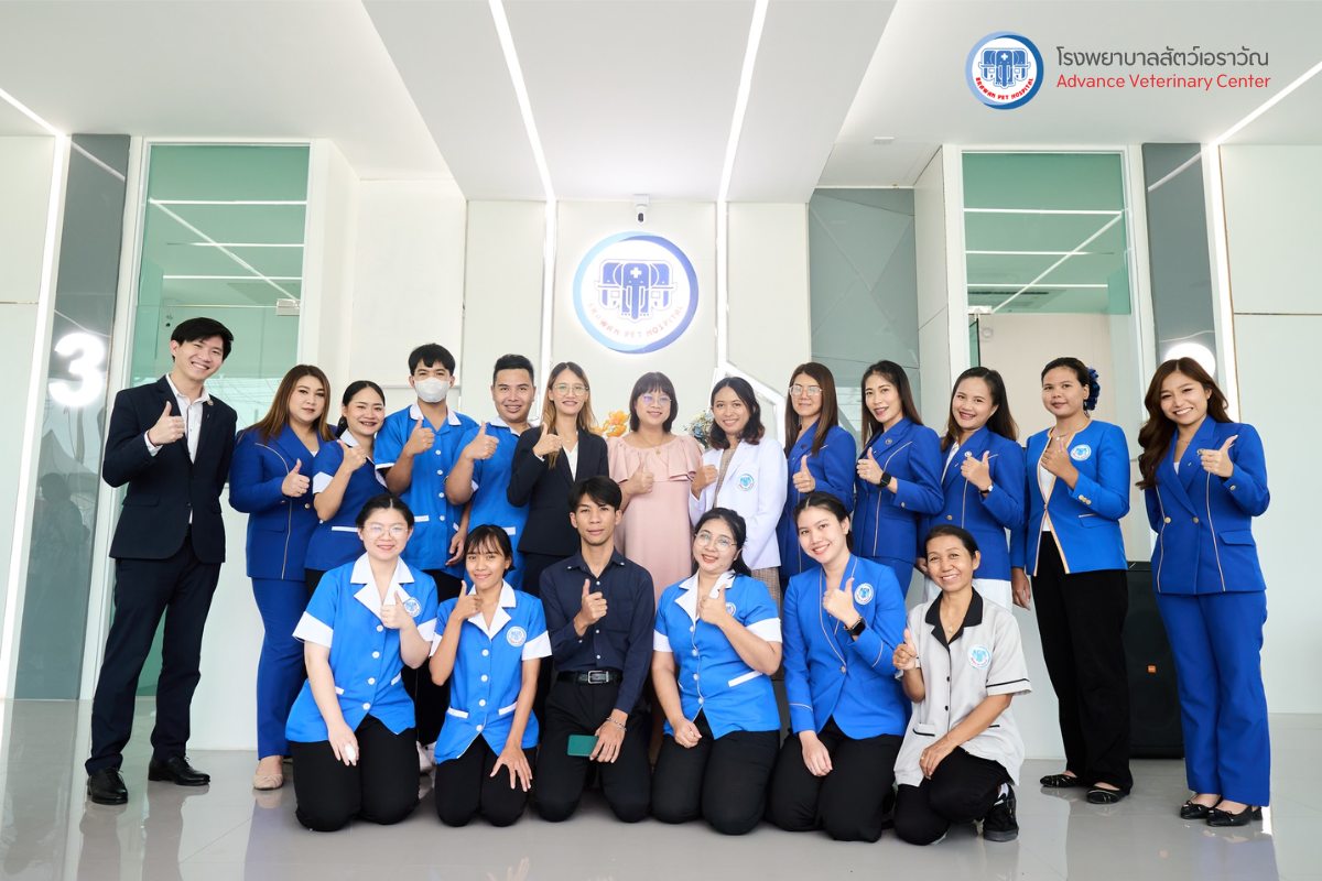 โรงพยาบาลสัตว์เอราวัณ (Erawan Pet Hospital)