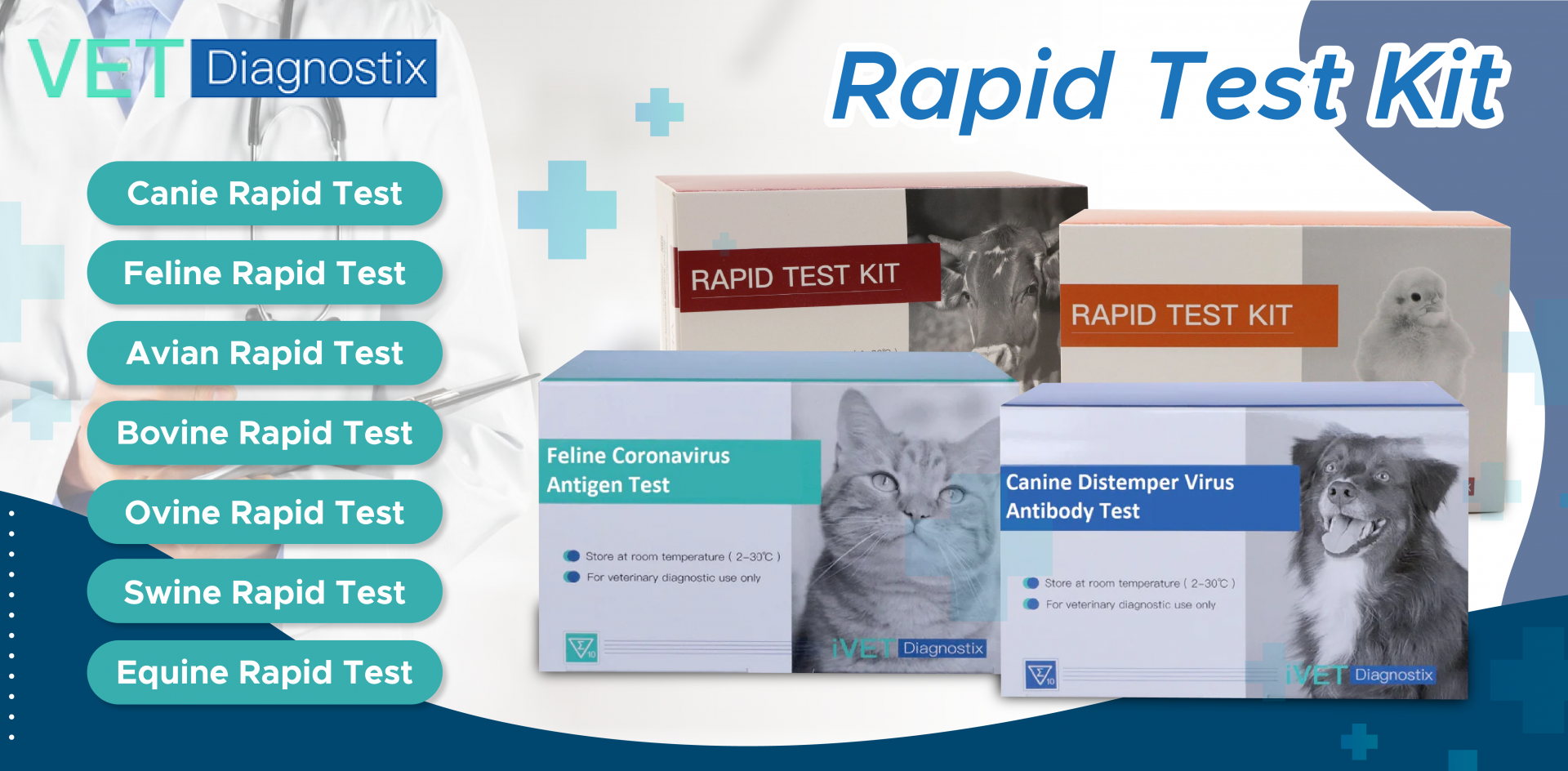 Rapid Test Kit