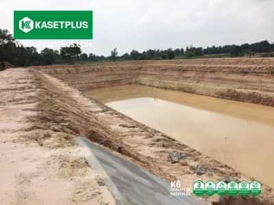 บ่อน้ำขนาดใหญ่ เป็นดินทรายทั้งหมด ไม่สามารถอุ้มน้ำได้ บ่อน้ำขนาดใหญ่ เป็นดินทรายทั้งหมด ไม่สามารถอุ้มน้ำได้