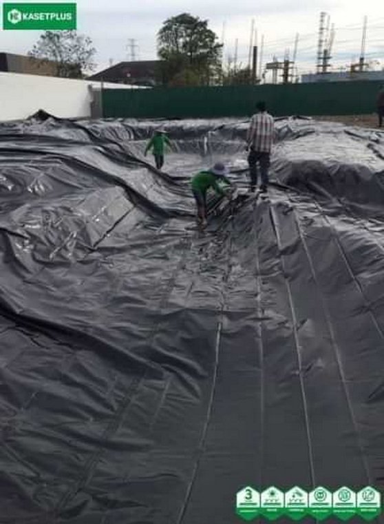 การปูบ่อฟรีฟอร์ม ด้วยผืนพลาสติก LDPE จากเกษตรพลัส การปูบ่อฟรีฟอร์ม ด้วยผืนพลาสติก LDPE จากเกษตรพลัส