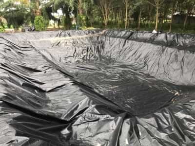 บ่อดิน ขุดแบบมีเบิม (ตะพัก) ปูด้วยพลาสติก LDPE บ่อดิน ขุดแบบมีเบิม (ตะพัก) ปูด้วยพลาสติก LDPE