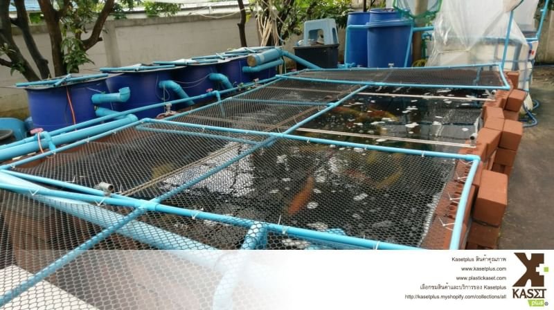 การทำบ่ออิฐประสาน ปกติทางเรามักจะคอยเตือนพี่ ๆ ว่า !!! การทำบ่ออิฐประสาน ปกติทางเรามักจะคอยเตือนพี่ ๆ ว่า !!!