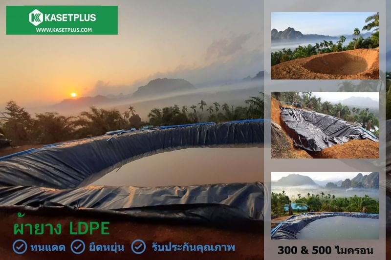 อยู่บนภูเขาสูงขนาดนี้ พลาสติกจากทางเกษตรพลัส ก็ขึ้นไปถึง อยู่บนภูเขาสูงขนาดนี้ พลาสติกจากทางเกษตรพลัส ก็ขึ้นไปถึง