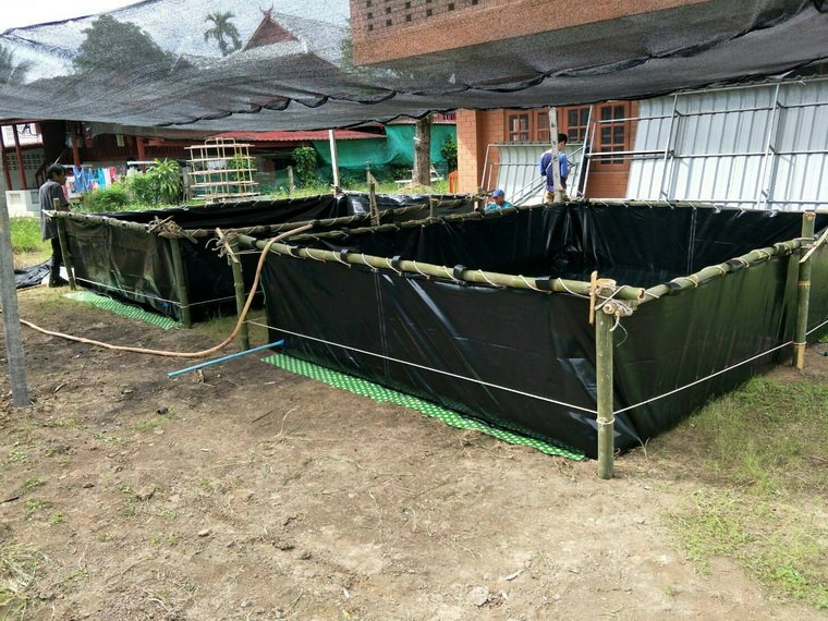 บ่อพลาสติก LLDPE ขึ้นทรงสำเร็จรูป ขนาด 3 x 4 x 0.8 เมตร  บ่อพลาสติก LLDPE ขึ้นทรงสำเร็จรูป ขนาด 3 x 4 x 0.8 เมตร