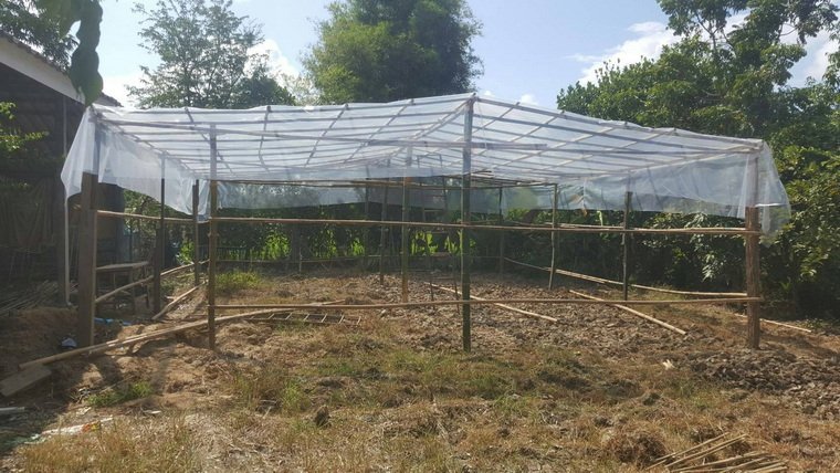 โรงเรือนที่สร้างมาจากโครงสร้างไม้ จังหวัดเชียงราย โรงเรือนที่สร้างมาจากโครงสร้างไม้ จังหวัดเชียงราย