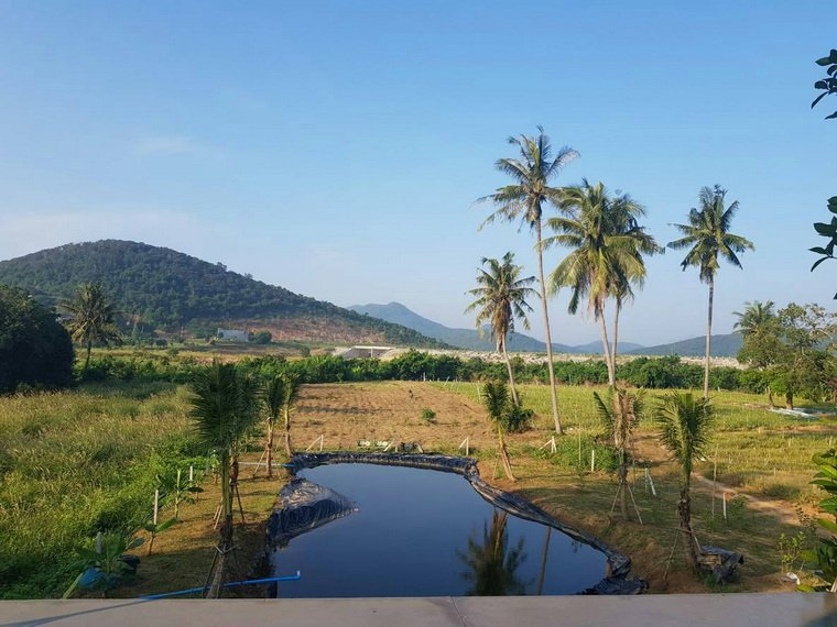 บ่อจัดสวน ฟรีฟอร์ม LDPE 300 ไมครอน จ.ประจวบคีรีขันธ์ บ่อจัดสวน ฟรีฟอร์ม LDPE 300 ไมครอน จ.ประจวบคีรีขันธ์