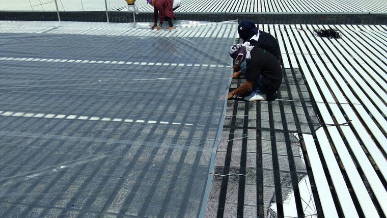 ซ่อมแซมโรงเรือนปลูกพืช มหาวิทยาลัยเกษตรศาสตร์ ซ่อมแซมโรงเรือนปลูกพืช มหาวิทยาลัยเกษตรศาสตร์