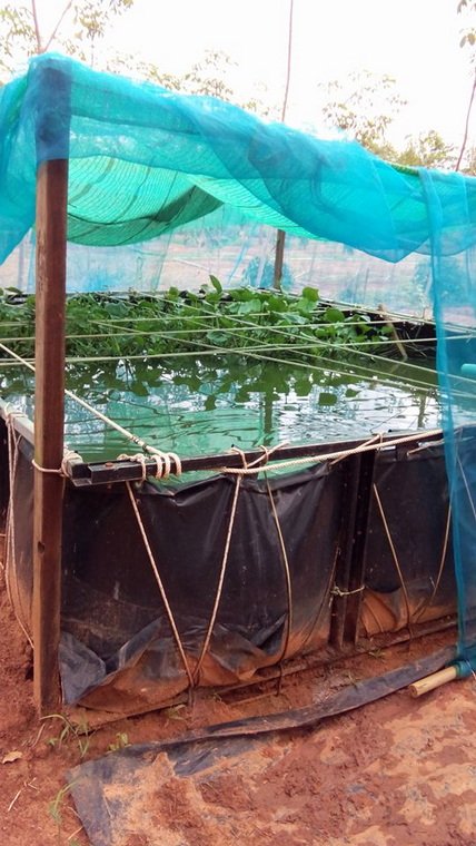 บ่อพลาสติก LDPE ขึ้นทรงสำเร็จรูป ใช้งานสำหรับเก็บน้ำ บ่อพลาสติก LDPE ขึ้นทรงสำเร็จรูป ใช้งานสำหรับเก็บน้ำ