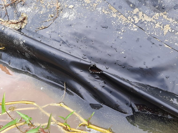 พลาสติกโดนหนูเจาะ และโดนของแหลมคมหล่นใส่ พลาสติกโดนหนูเจาะ และโดนของแหลมคมหล่นใส่