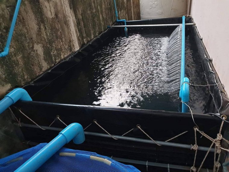 บ่อพลาสติก LDPE ขึ้นทรงสำเร็จรูป ขนาดสั่งตัด เพื่อใช้งานวางด้านข้างตัวบ้าน บ่อพลาสติก LDPE ขึ้นทรงสำเร็จรูป ขนาดสั่งตัด เพื่อใช้งานวางด้านข้างตัวบ้าน