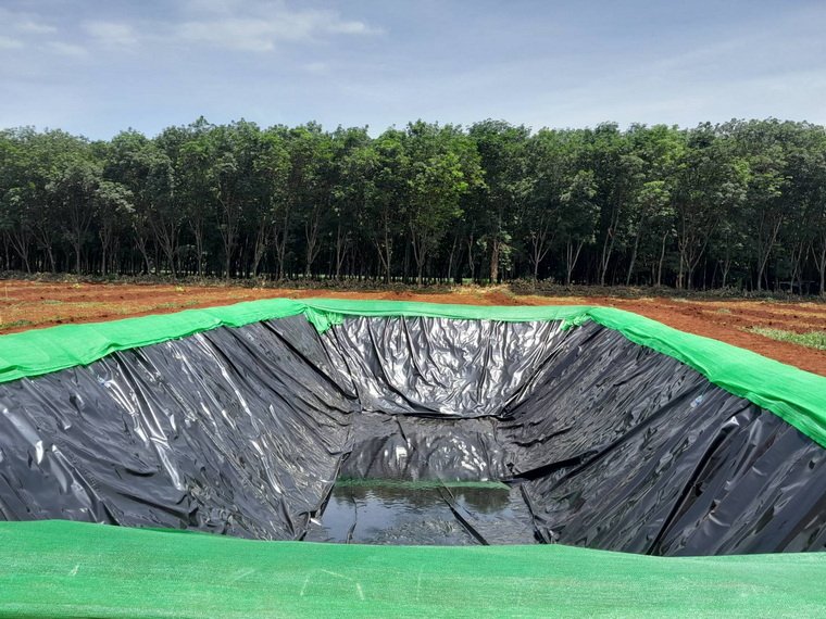 สวนปลูกผลไม้ ตามแนวเขตภูเขา อำเภอกันทรลักษ์ จังหวัดศรีสะเกษ สวนปลูกผลไม้ ตามแนวเขตภูเขา อำเภอกันทรลักษ์ จังหวัดศรีสะเกษ