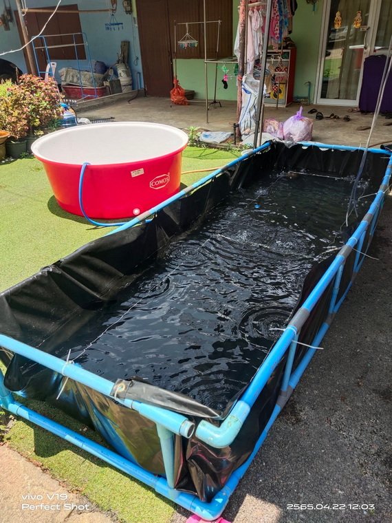 ผืนพลาสติก LDPE ตัดตามขนาดใช้งาน ไม่จำเป็นต้องขนาดใหญ่ ผืนพลาสติก LDPE ตัดตามขนาดใช้งาน ไม่จำเป็นต้องขนาดใหญ่