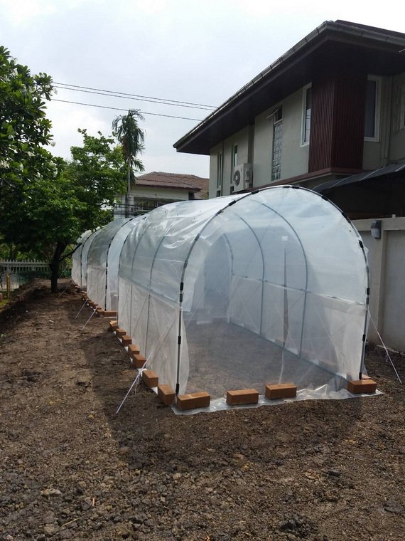 โรงเรือนสำเร็จรูปเกษตรพลัส พลาสติกใสขุ่น และมุ้งกันแมลง โรงเรือนสำเร็จรูปเกษตรพลัส พลาสติกใสขุ่น และมุ้งกันแมลง